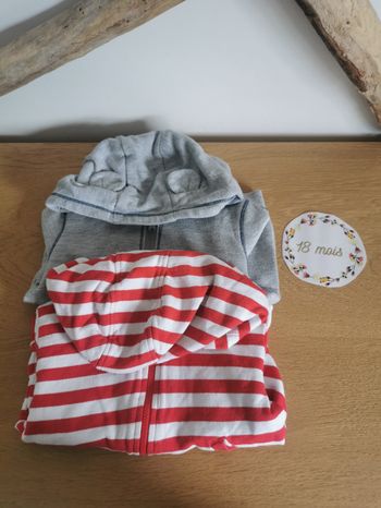 Lot de 2 vestes à capuche en coton bébé garçon 18mois tissaia, in extenso en très bon état