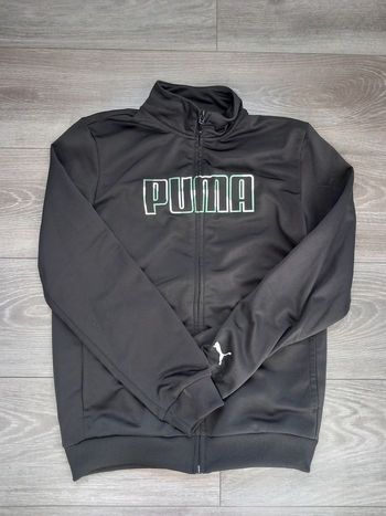 Veste Puma