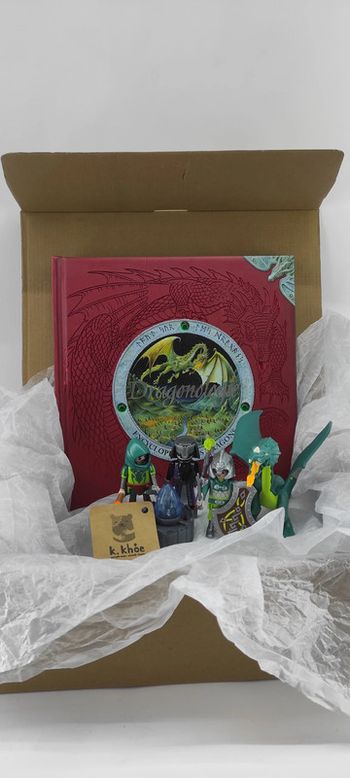 Coffret Dragon ( Livre et playmobil)