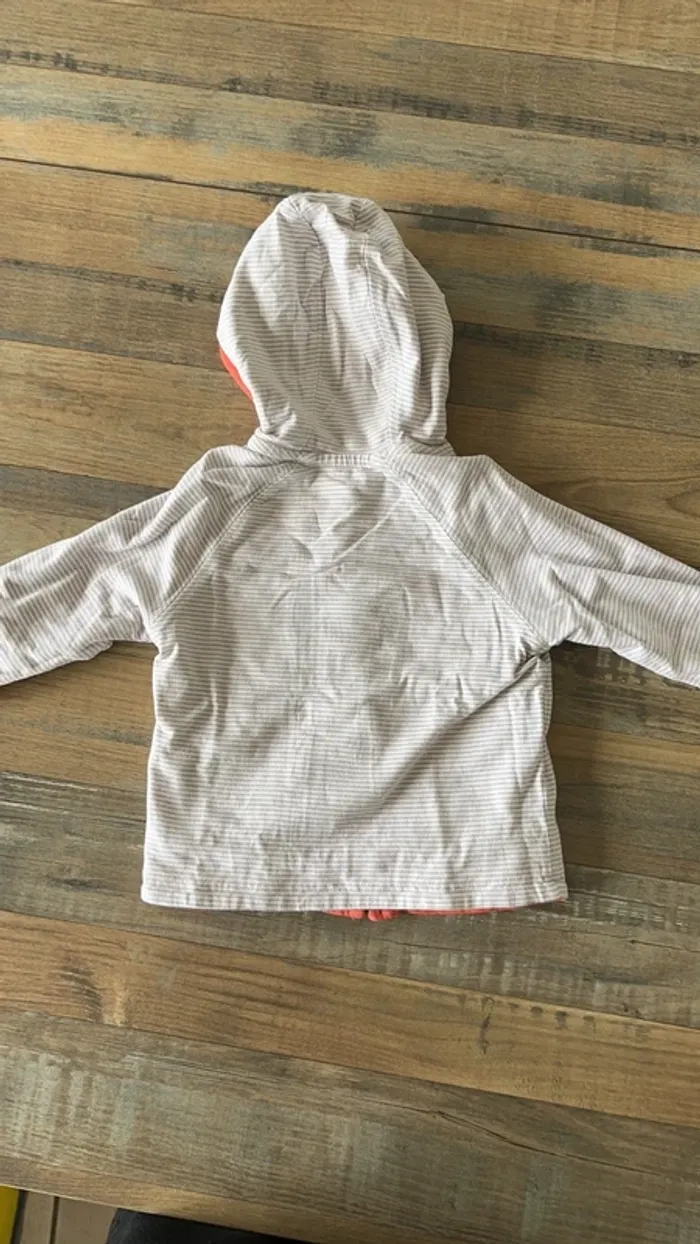 Veste réversible avec short et 2 tee shirt si - photo numéro 9