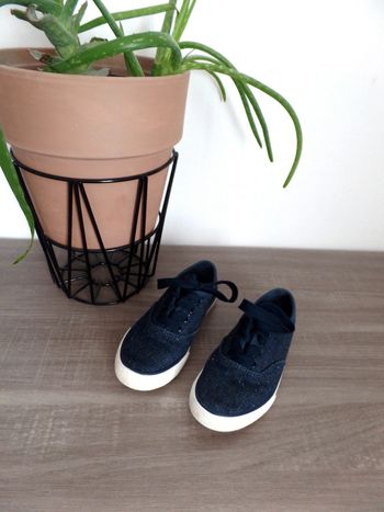 Tennis en toile Creeks pointure 31