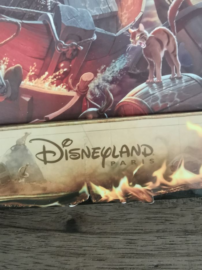 Cadre disneyland paris pirates des caraïbes - photo numéro 4