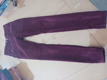 Pantalon velours violet