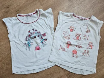 2 tee shirt fille