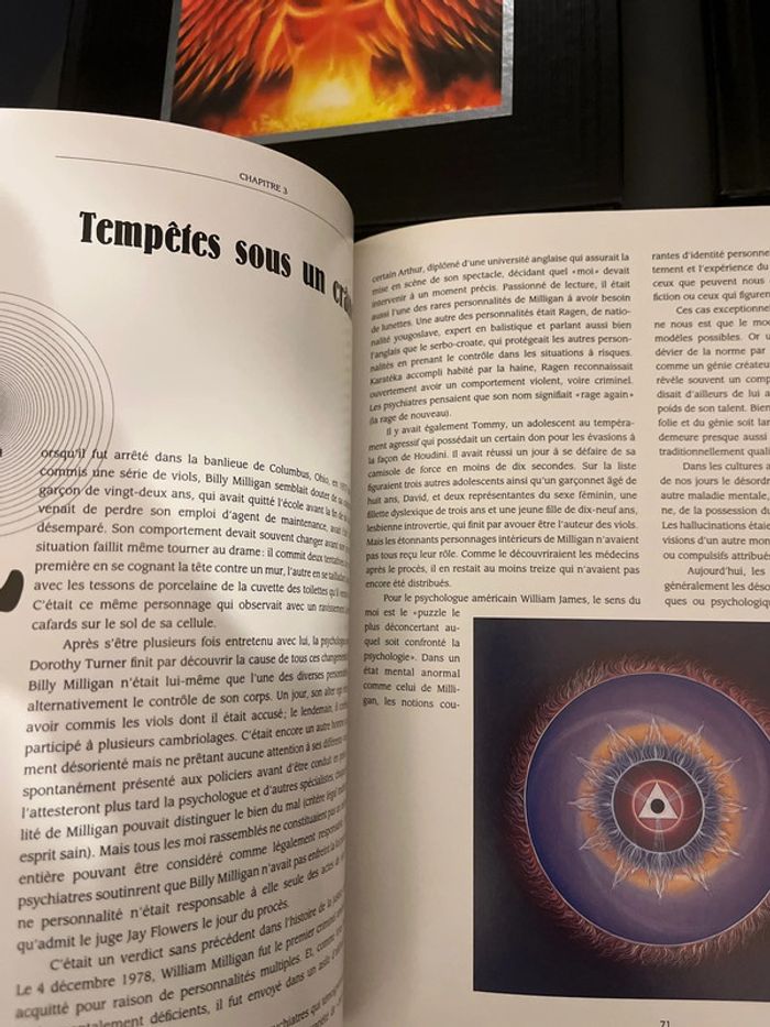 Attention à ne pas mettre entre toutes les mains ! 3 livres ésotériques - photo numéro 18