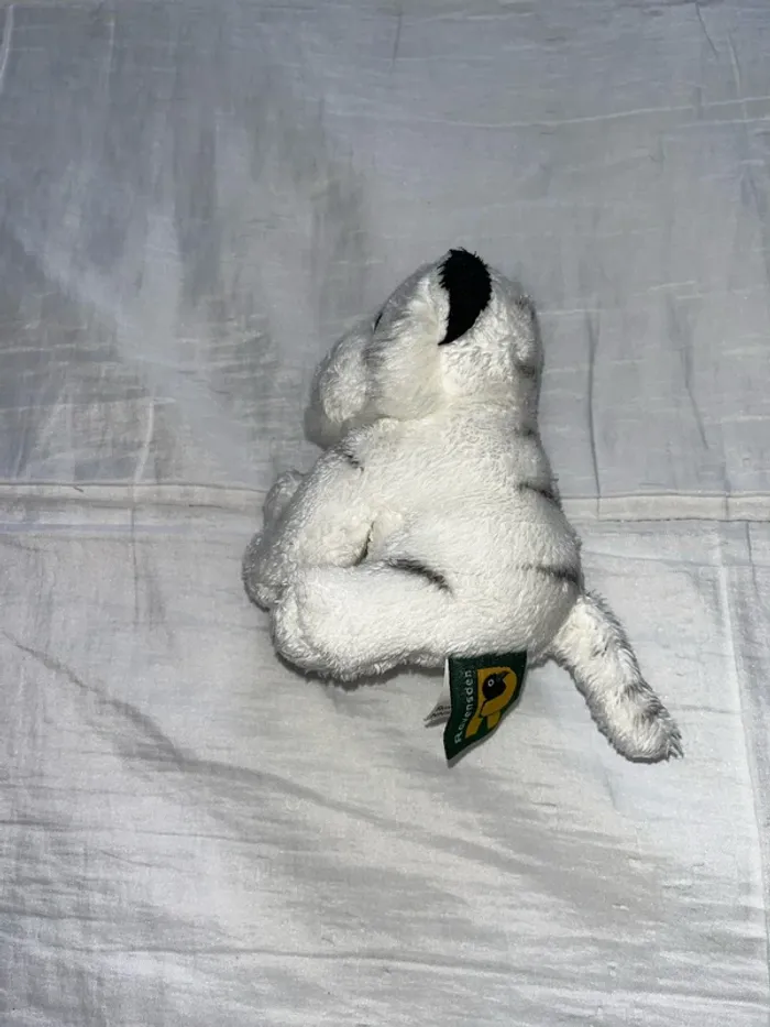 Tigre blanc - photo numéro 4