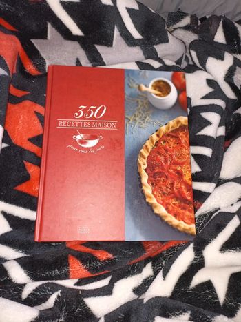 350 recette maison