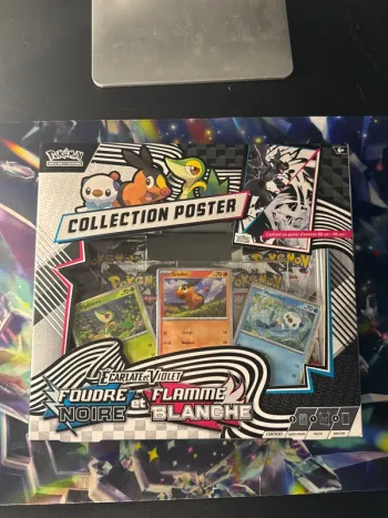 Coffret collection poster - Foudre noire et Flamme blanche