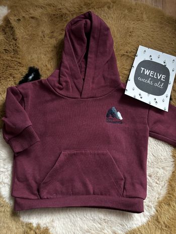 Sweat à capuche bordeaux GEMO t.3m