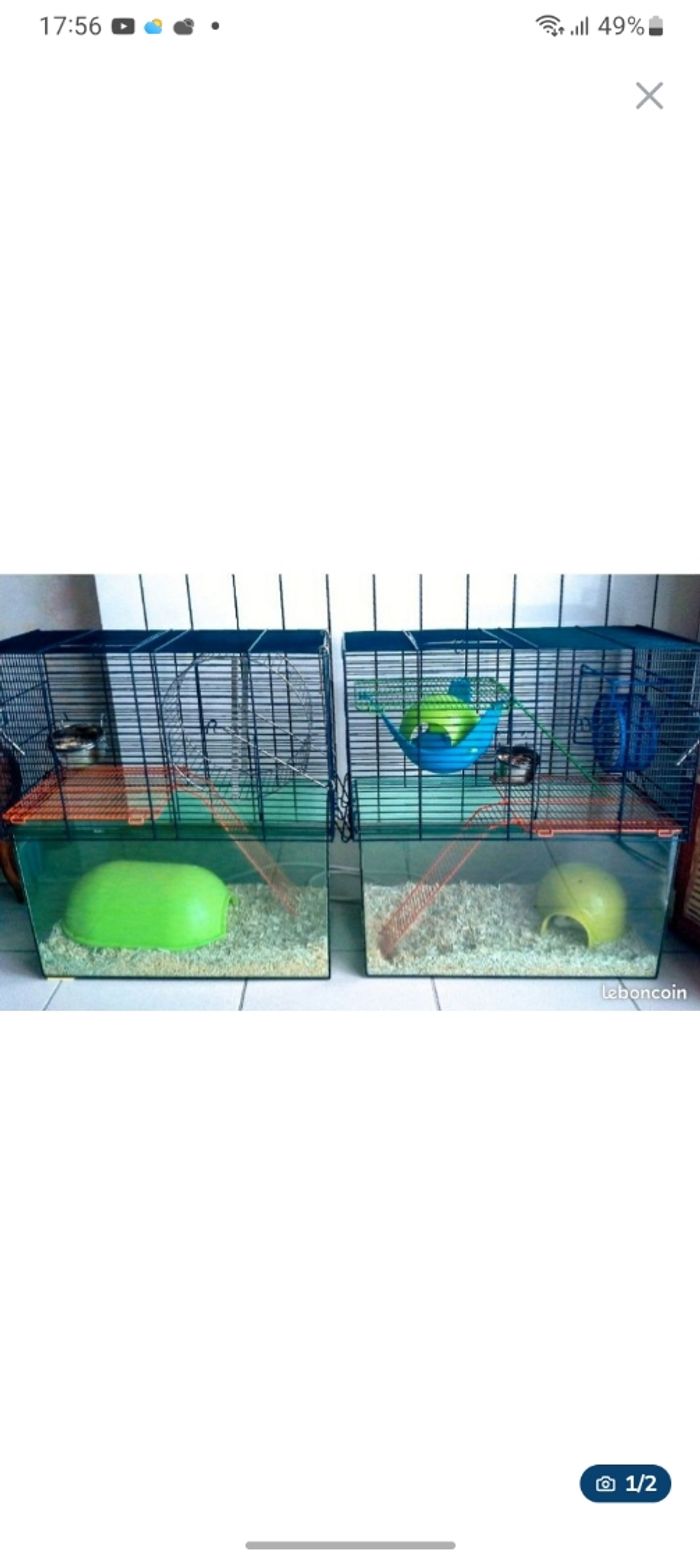 Cage petits rongeurs - photo numéro 1