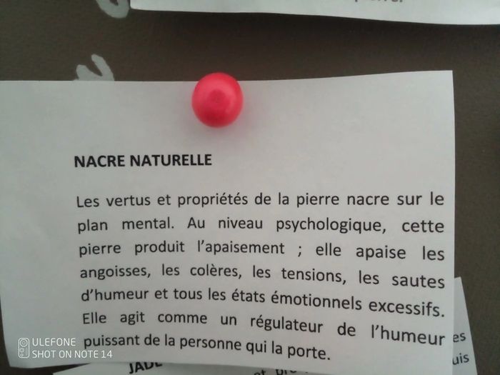 Collier nacre et tortue lumineuse - photo numéro 3