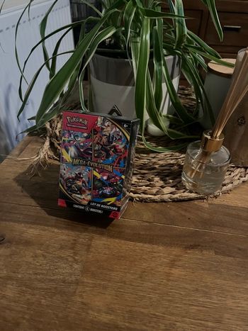 Pokémon Bundle mega évolution 01