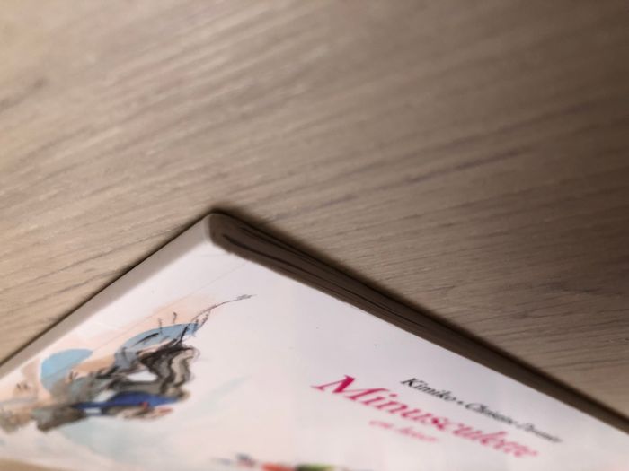 Livre Minusculette en hiver - photo numéro 6