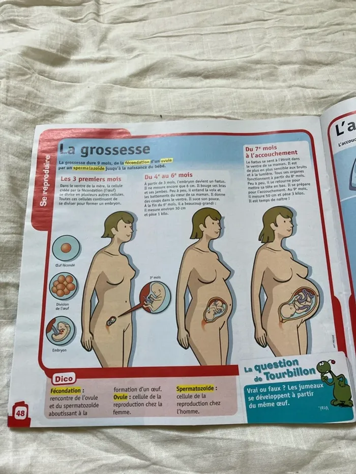 Fiches pédagogiques – Le Petit Quotidien (n°17H, mars 2020) - photo numéro 7