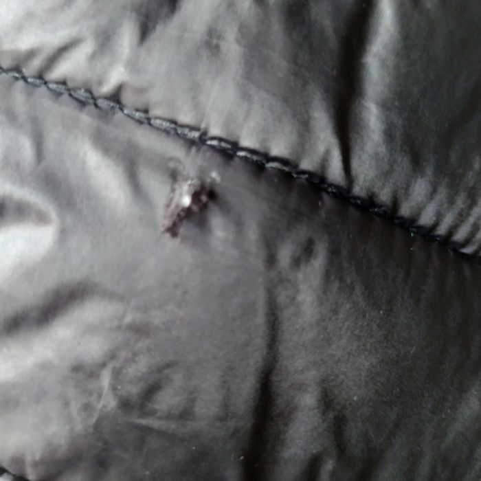 Doudoune Schott taille 8ans tbe - photo numéro 10