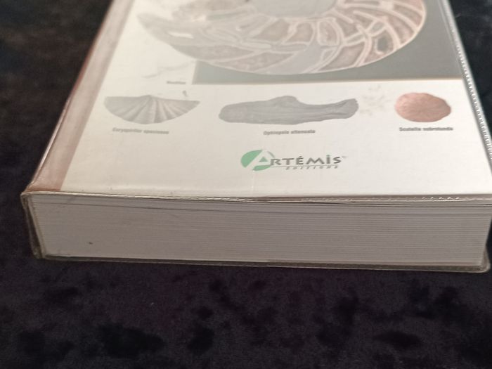 Les fossiles guide encyclopédique - photo numéro 7