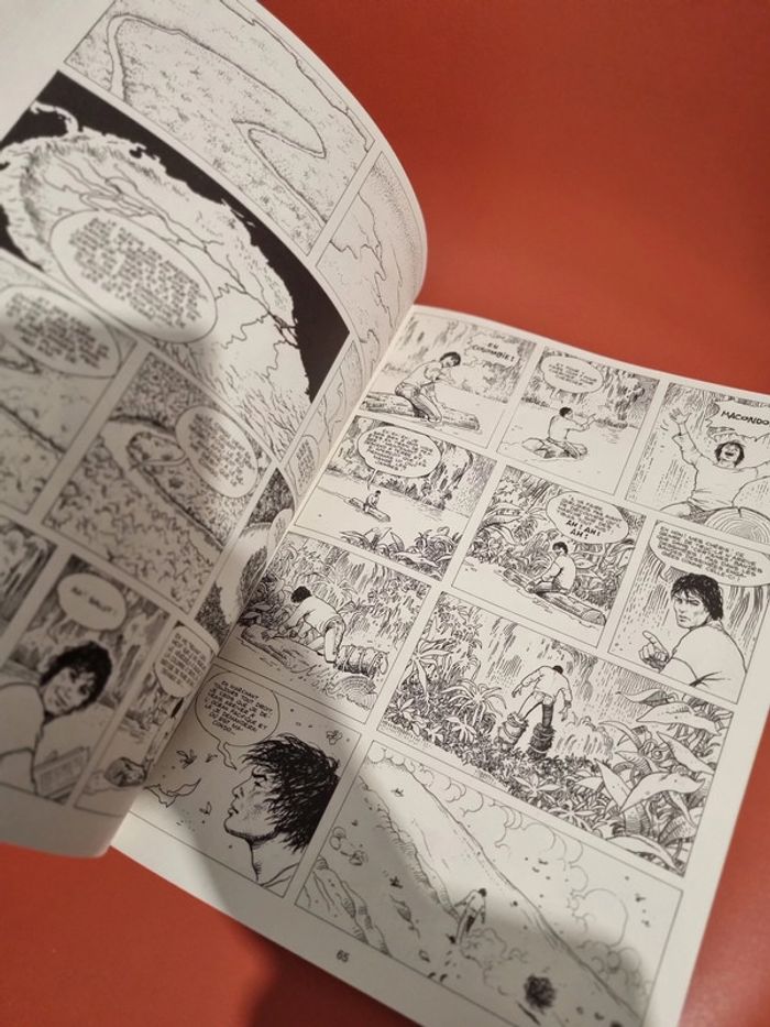 bd HP et Giuseppe bergman de Milo Manara - photo numéro 14