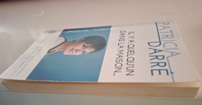 Il y a quelqu'un dans la maison de Patricia Darre - photo numéro 4