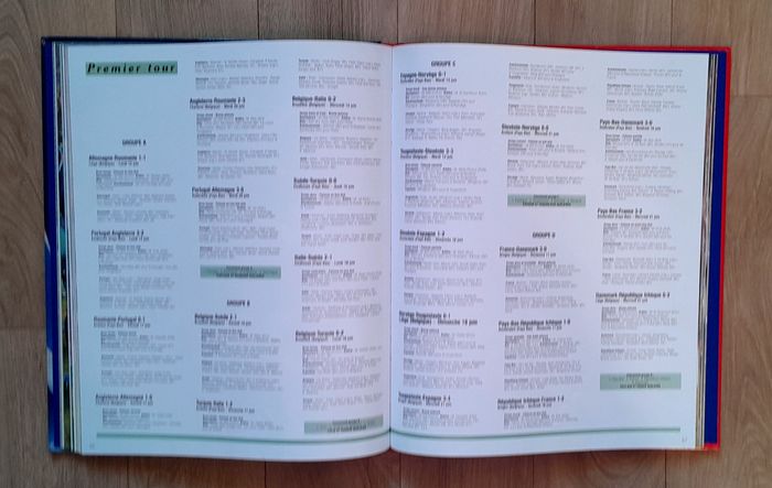 Championnat d'Europe des nations 2000 - merci les champions - Dominique Grimault - photo numéro 9