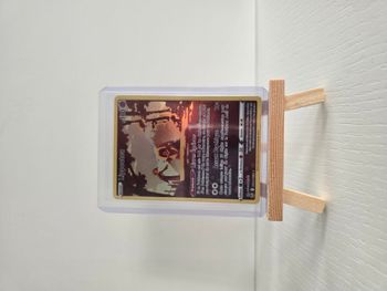 Lippoutou TG04/TG30 - Tempête Argentée - EB12 - FR