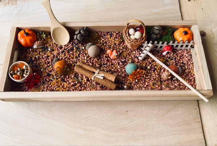 🍂Kit Montessori bac univers sensoriel – Thème Forêt automnale - photo numéro 7