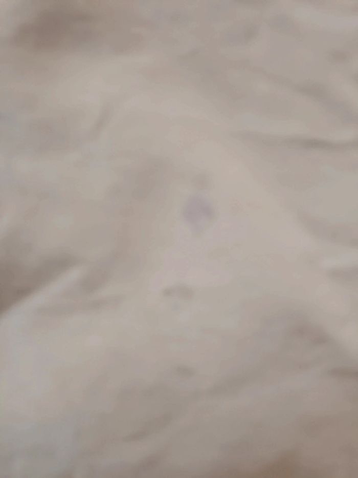 Veste légère doublé - photo numéro 5