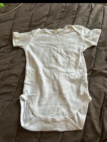 Body manches courtes