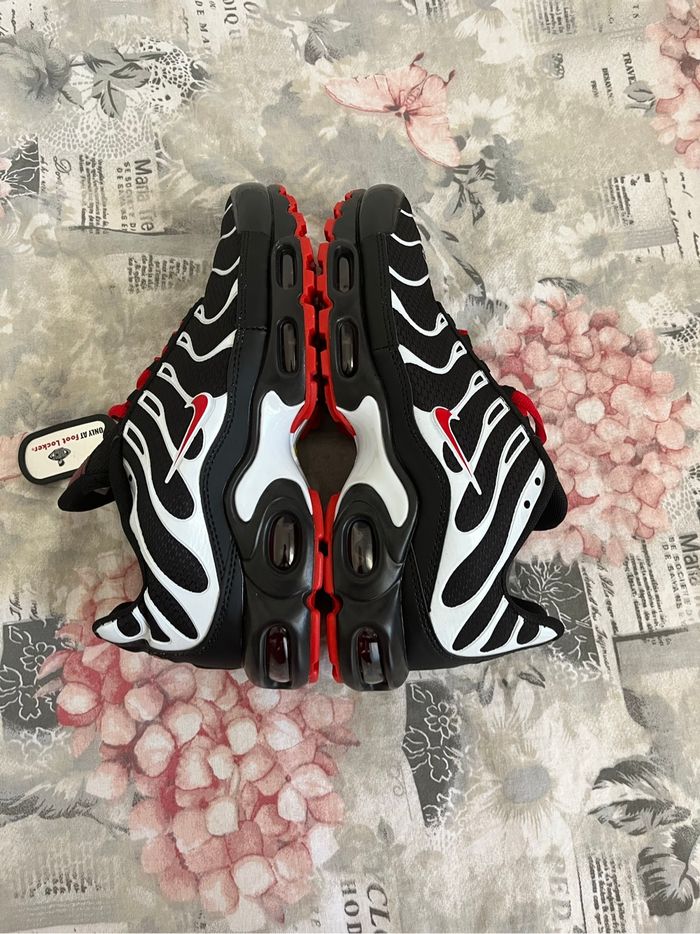 Tn  Neufs - photo numéro 3