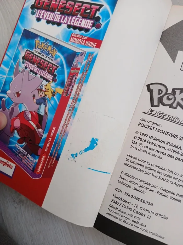 Pokemon la grande aventure 1 - photo numéro 6