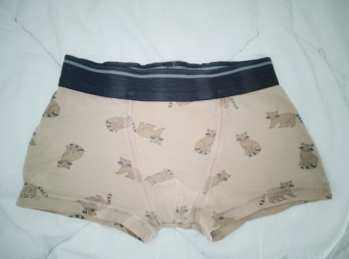 Caleçon 6 ans Kiabi beige motif raton laveur - photo numéro 2