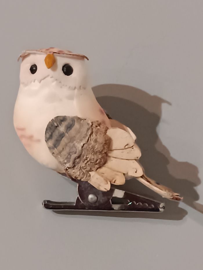 Chouette pince - photo numéro 7