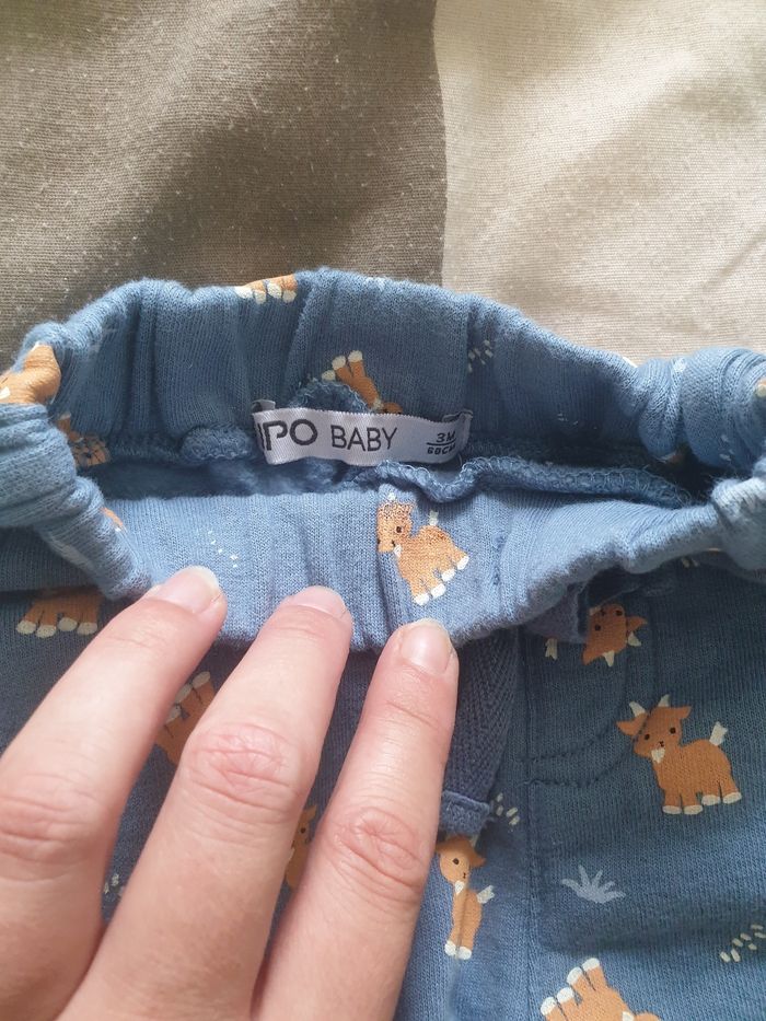 Ensemble - photo numéro 3