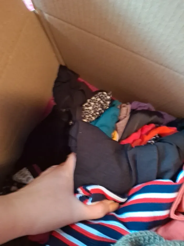 Lots revendeur Femme - photo numéro 2