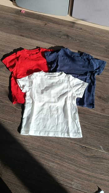 T-shirts + shorts lot