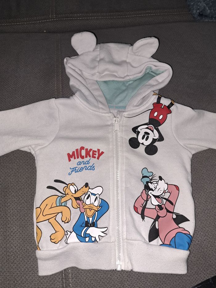 Gilets mickey