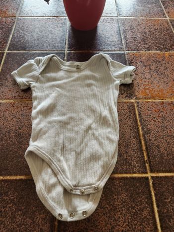 Body manches courtes