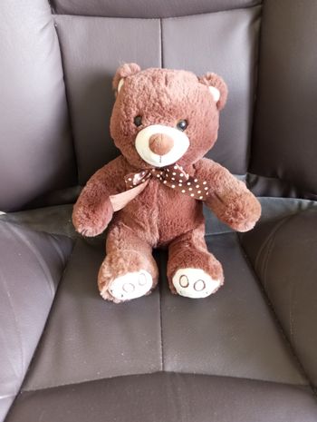 Joli nounours 
