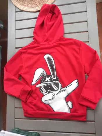 Sweat à capuche swag
