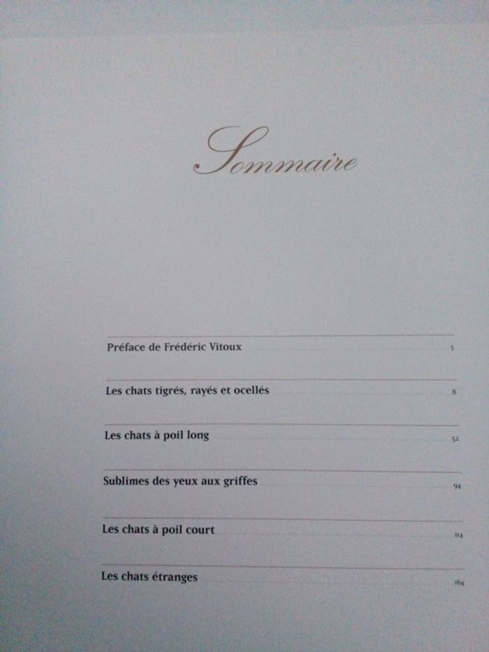 Sublimes chats - photo numéro 5