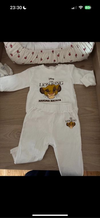 Ensemble roi lion