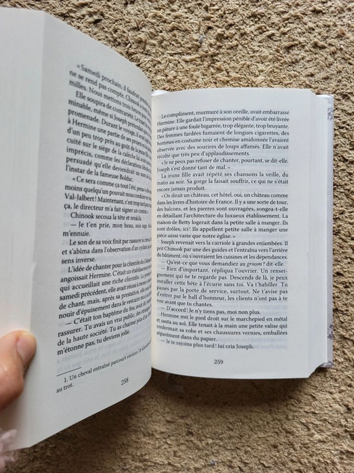 Livre dédicacé de Marie-Bernadette Dupuy "L'enfant des neiges", La saga de Val-Jalbert - État neuf - photo numéro 9