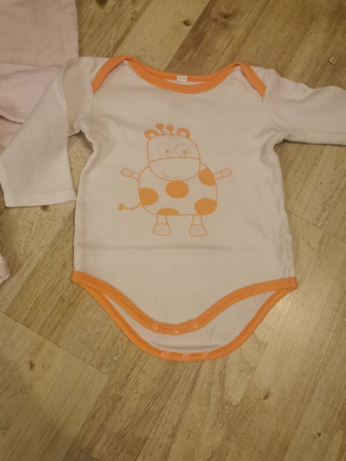 Bodies 74 cm - photo numéro 3