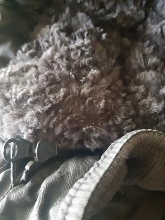 Manteau - photo numéro 15