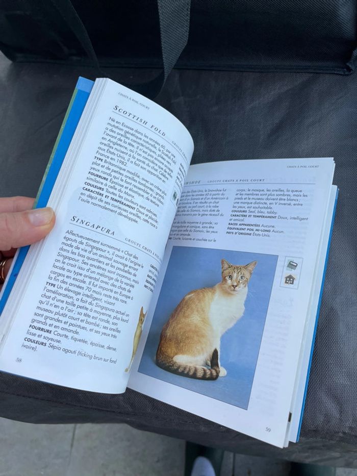 Mini encyclopédie Chats - photo numéro 4