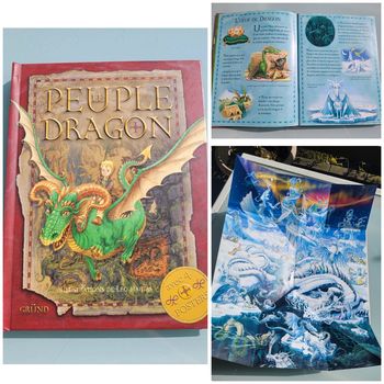 Très beau livre animation 3D Le Peuple Dragon 🐉 52