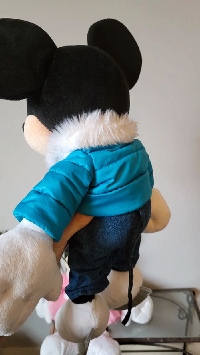 Mickey et Minnie 2011 - photo numéro 7