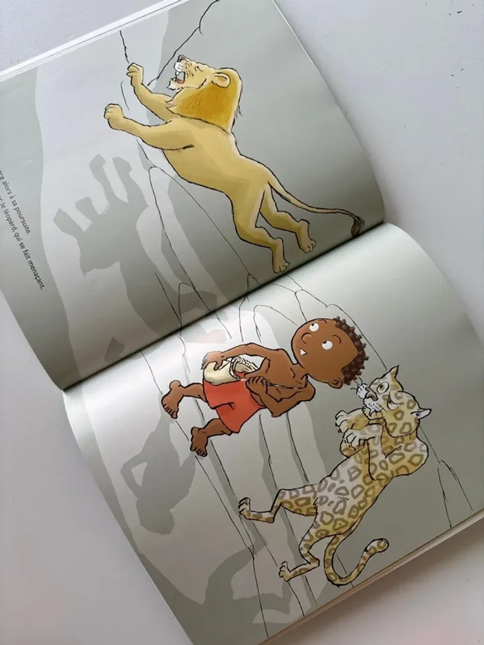 Livre sassou - photo numéro 4