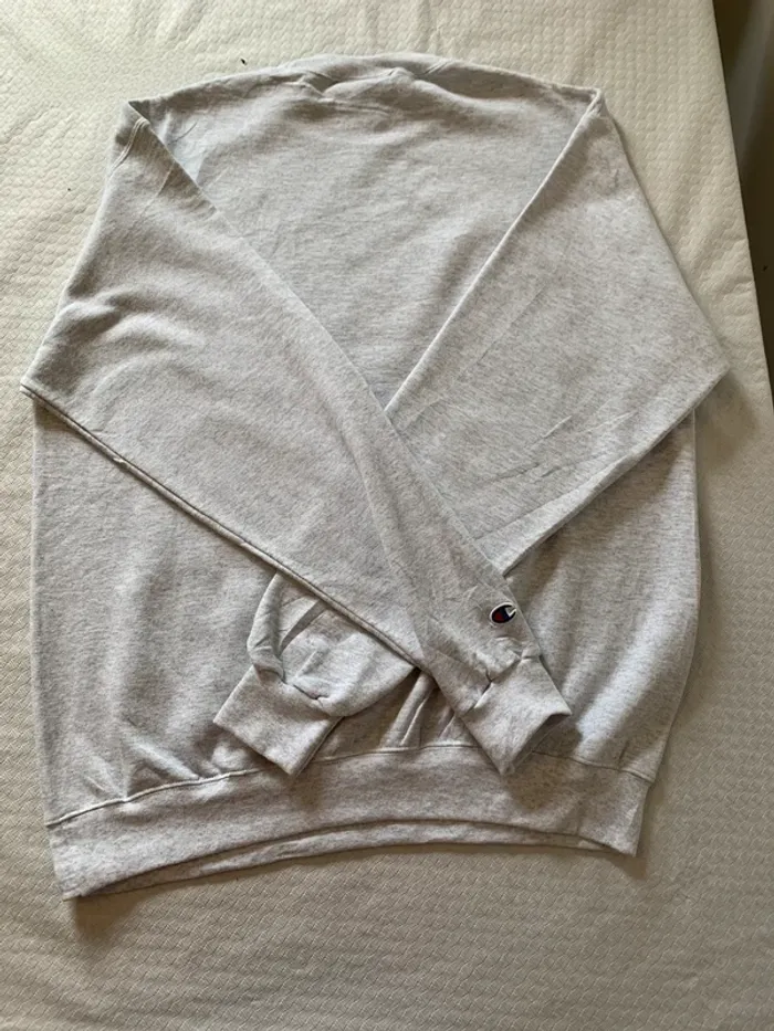 Sweat Champion Gris E2D Taille L - photo numéro 5