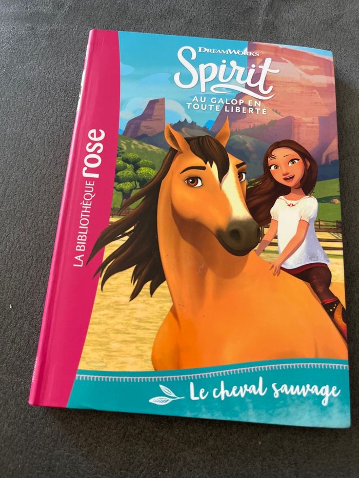 Livre bibliothèque rose Spirit tome 1 - photo numéro 1
