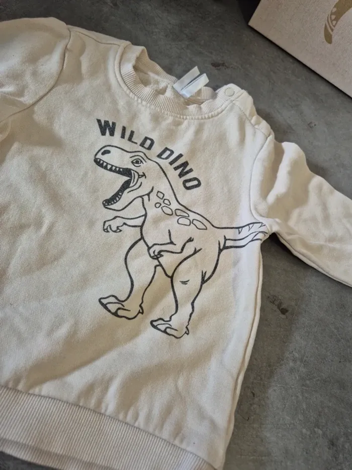 Pull dinosaure - photo numéro 2